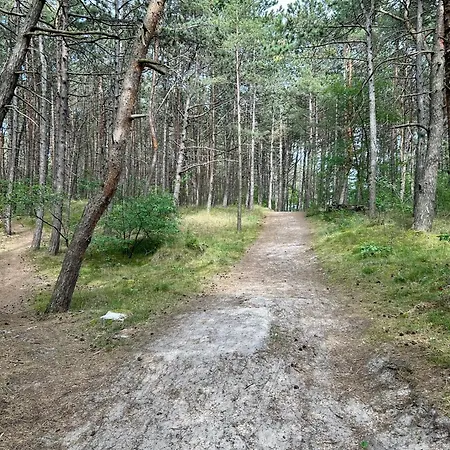 Czarna Perla *